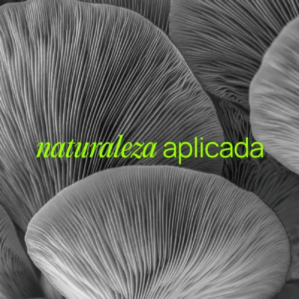 Imagen Malma.